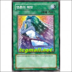 영혼의해방(SD14-KR021)　