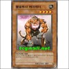 불굴투사레이레이(CRV-KR023)