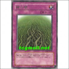 가시나무의벽(CRMS-JP079)