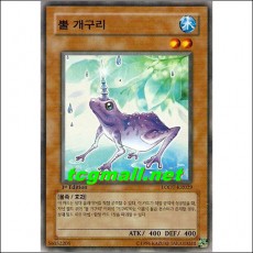 뿔개구리(LODT-KR029)