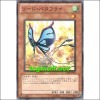 리드버터플라이(STBL-JP003)