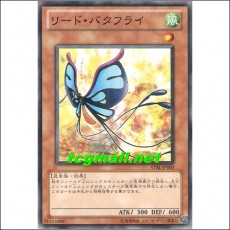 리드버터플라이(STBL-JP003)