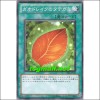 가오드레이크의갈기(STBL-JP053)