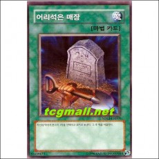 어리석은매장(SD13-KR019)
