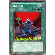 얕은무덤(SD13-KR020)