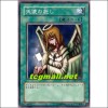 천사의자비(SK2-022)