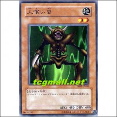 식인충(YSD2-JP010)