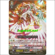 미라클뷰티(BT05-006KR)