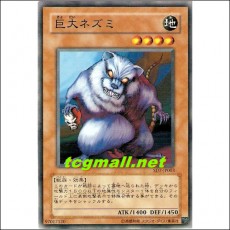 거대쥐(SD7-JP003)