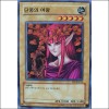 단풍의여왕(TP2-KR024) S-급