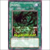 허리케인(SD5-KR021)