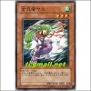여첩자야에(SD8-JP011)
