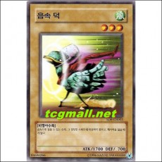 음속덕(SD8-KR003)
