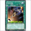 카드파괴(SD8-KR018)