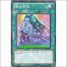 영혼의해방(GS04-JP011)
