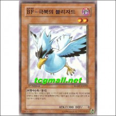 BF-극북의블리자드(RGBT-KR010)