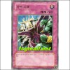 차원유폐(WC08-KR003)