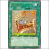 강자의고통(WC08-KR002)
