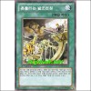 흔들리는발조천칭(ORCS-KR055)