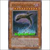 지박신Chacu Challhua(차크챠르아)(ANPR-KR017)