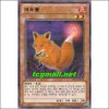 여우불(SD24-KR018)