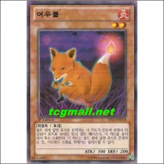 여우불(SD24-KR018)