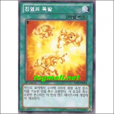 진염의폭발(SD24-KR024)