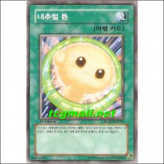 내추럴튠(RGBT-KR059)