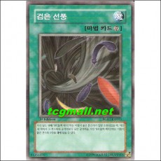 검은선풍(RGBT-KR051)