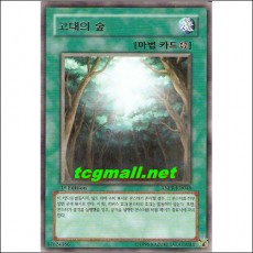 고대의숲(ANPR-KR048)