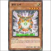 콜링노바(SD20-KR018)