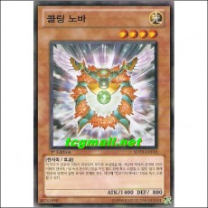 콜링노바(SD20-KR018)