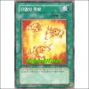 진염의폭발(ANPR-KR060)