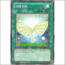 고대리프(ANPR-KR061)