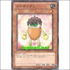 코로보크리(PHSW-JP006)
