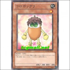 코로보크리(PHSW-JP006)