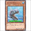 가시복어(PHSW-JP010)