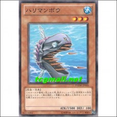 가시복어(PHSW-JP010)