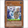마하라기(SD7-KR004)