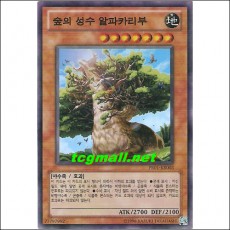 숲의성수알파카리부(PR01-KR003)
