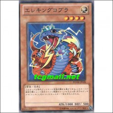 일렉킹코브라(PHSW-JP028)