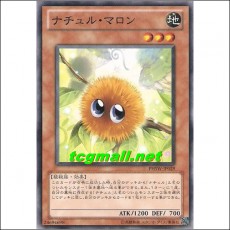 나츄르마론(PHSW-JP029)