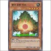 숲의성령에코(PR01-KR004)