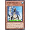 빙결계의전도사(PHSW-JP030)