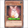 데스토끼(PHSW-JP036)