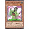 자동기계미녀224(EXVC-JP030)