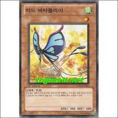 리드버터플라이(STBL-KR003)